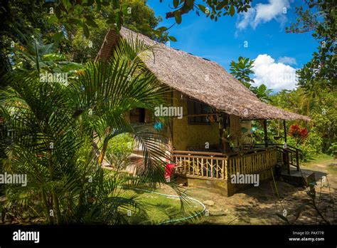 The bamboo houses of the Philippines .